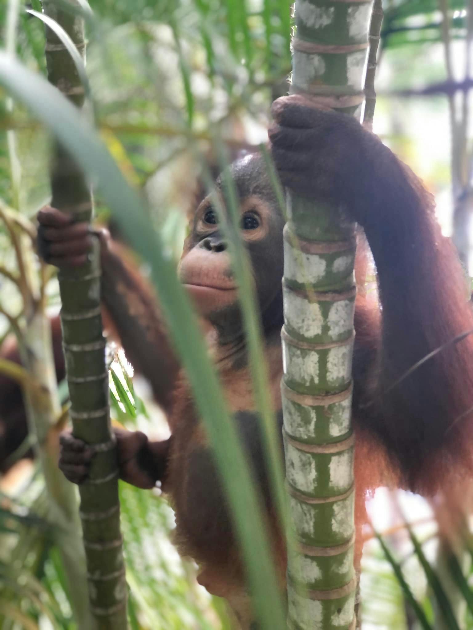 A'Famosa Melaka Waterpark Tickets Location