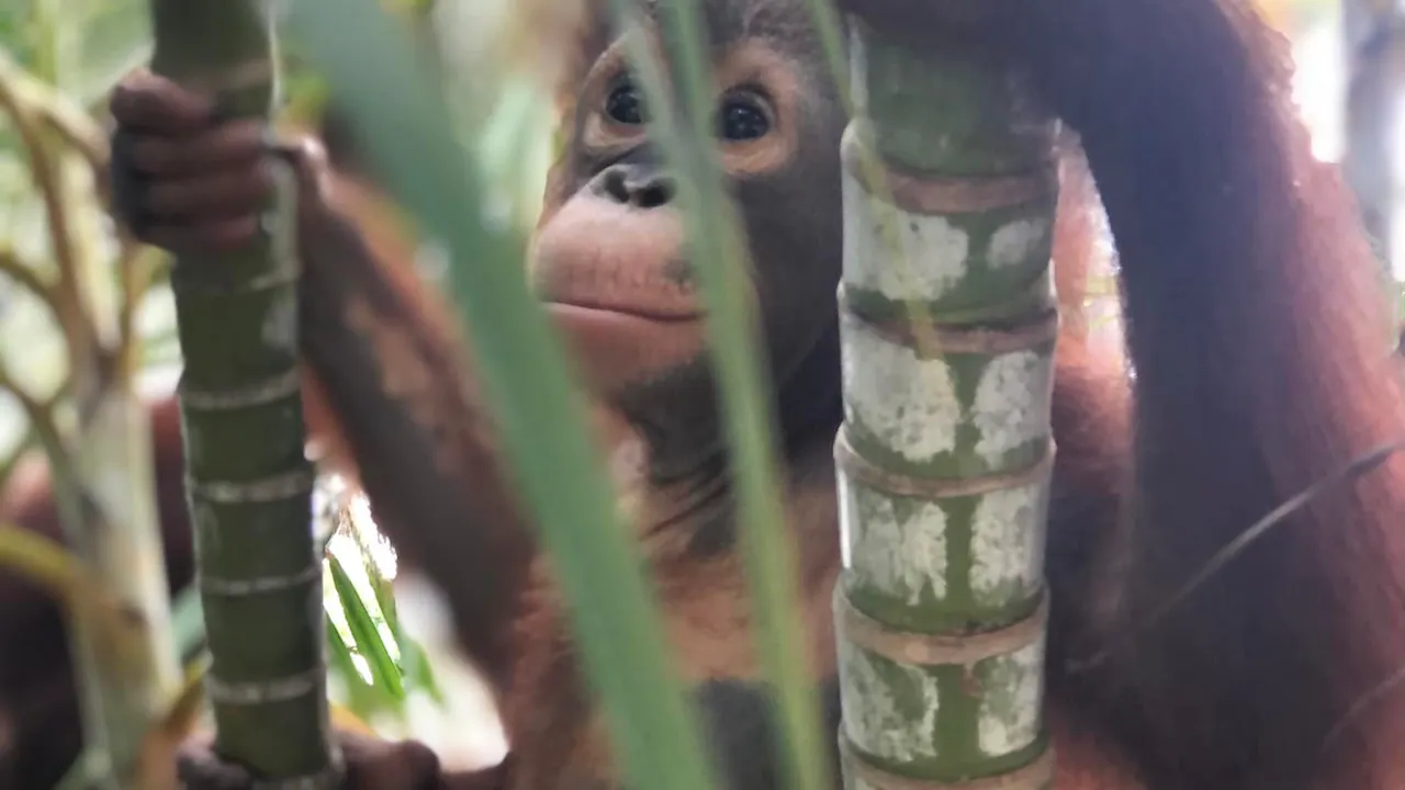 A'Famosa Melaka Waterpark Tickets Location