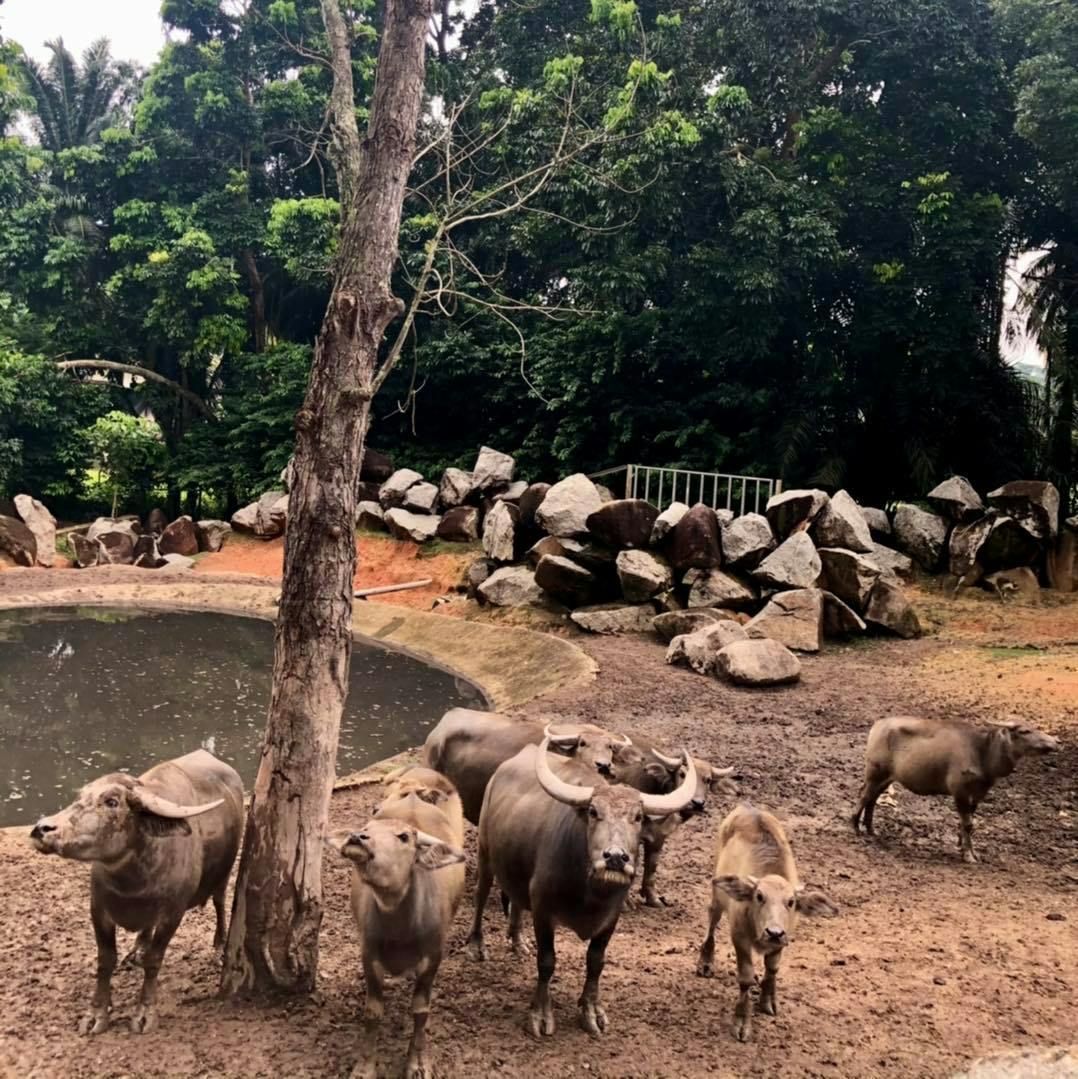 A'Famosa Melaka Waterpark Tickets Category