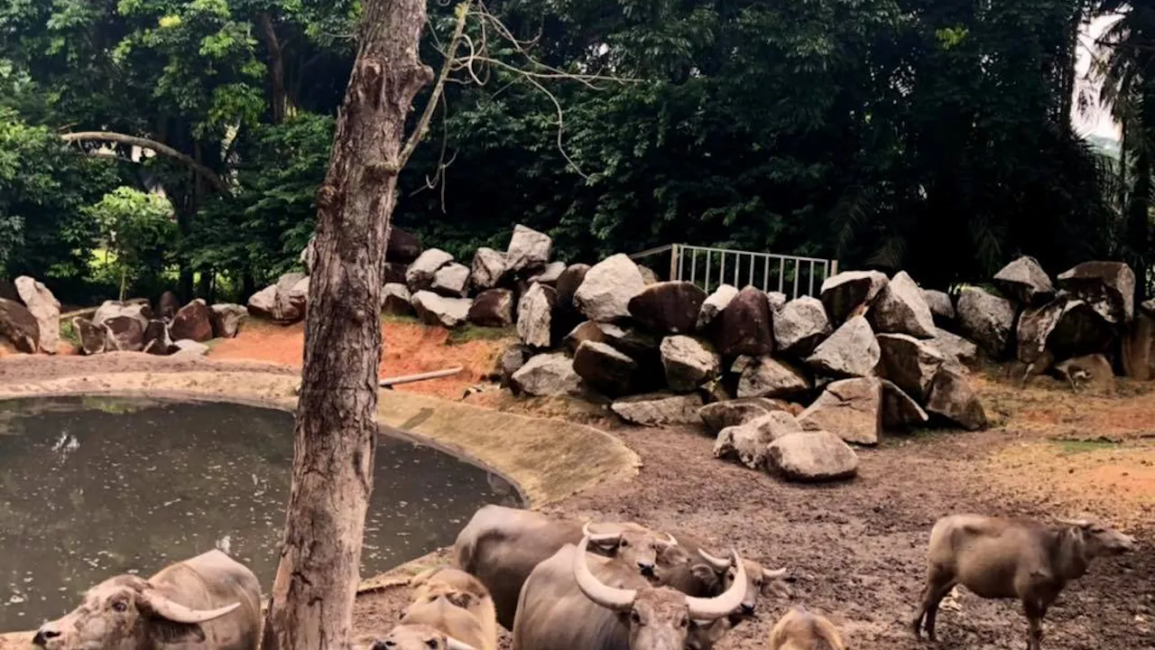 A'Famosa Melaka Waterpark Tickets Category