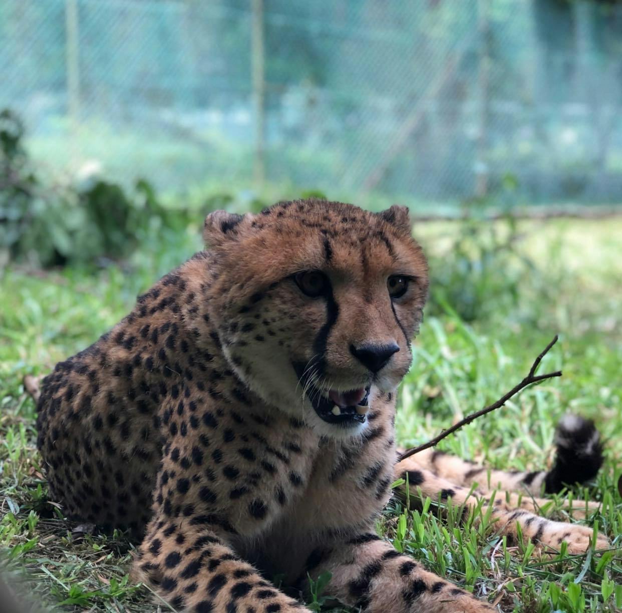 A'Famosa Melaka Waterpark Tickets Ticket