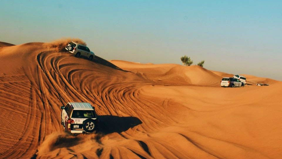 Morning 4x4 Desert Safari Experience from Riyadh Price