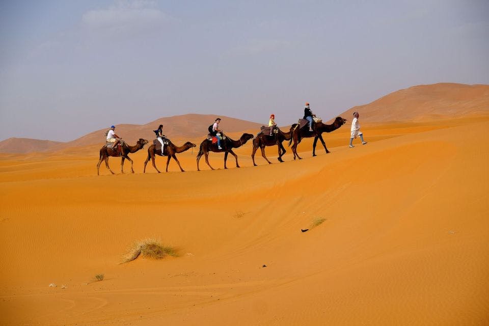 Morning 4x4 Desert Safari Experience from Riyadh Category