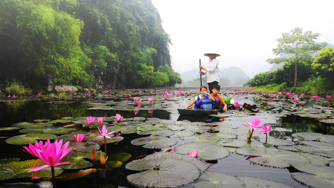 Perfume Pagoda Full-Day Guided Tour from Hanoi Location