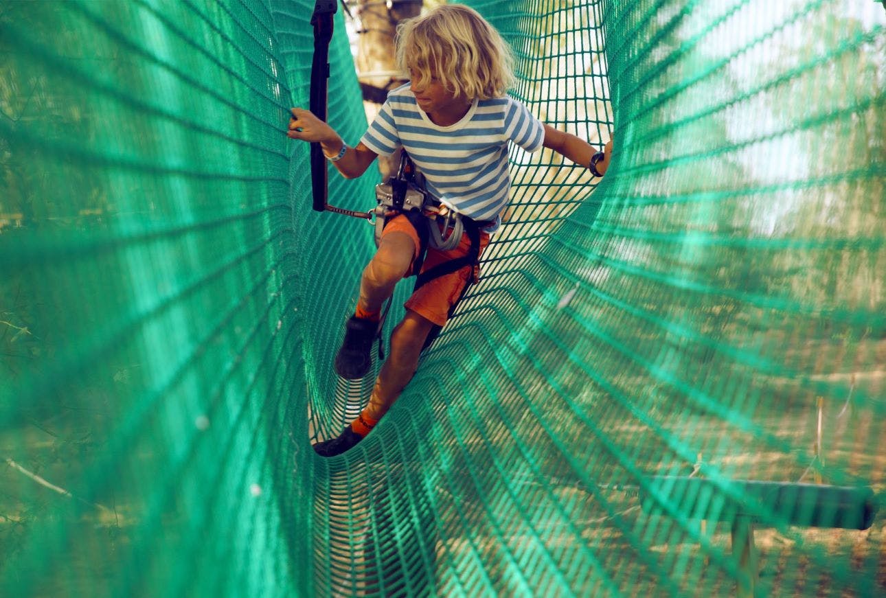 Aventura Parks Forest Explorer Pass Category