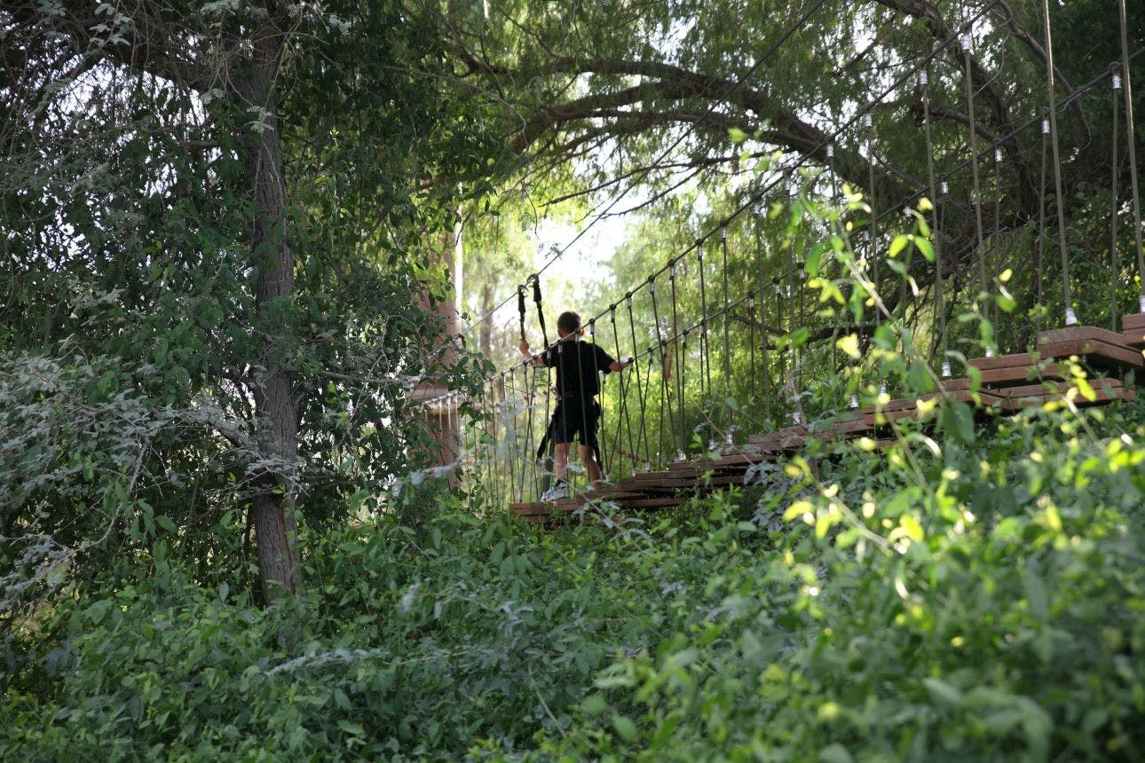 Aventura Parks Forest Explorer Pass Thrillark