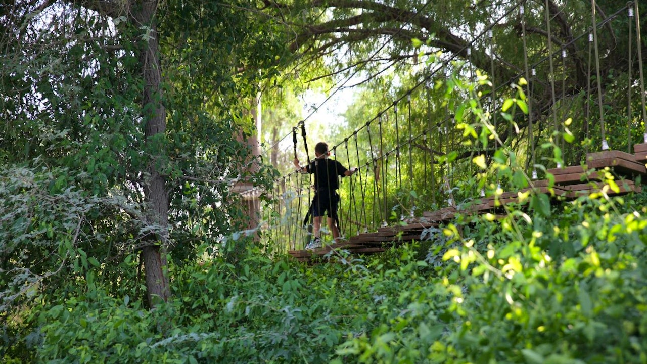 Aventura Parks Forest Explorer Pass Thrillark