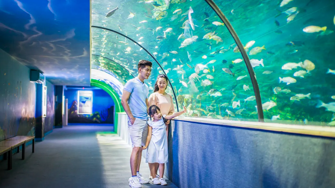 VinKe & Vinpearl Aquarium Ticket in Hanoi Discount