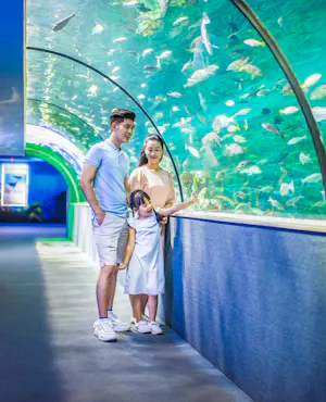 VinKe & Vinpearl Aquarium Ticket in Hanoi