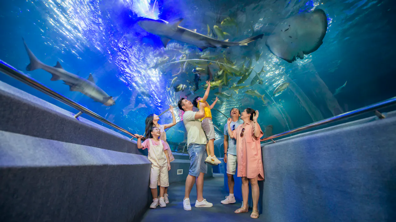 Nha Trang VinWonders Entry Ticket