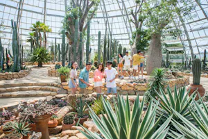 VinWonders Nha Trang Admission Tickets with Round-Trip Cable Car