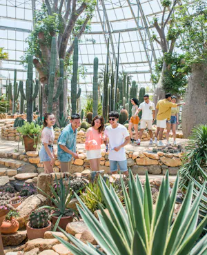 VinWonders Nha Trang Admission Tickets with Round-Trip Cable Car