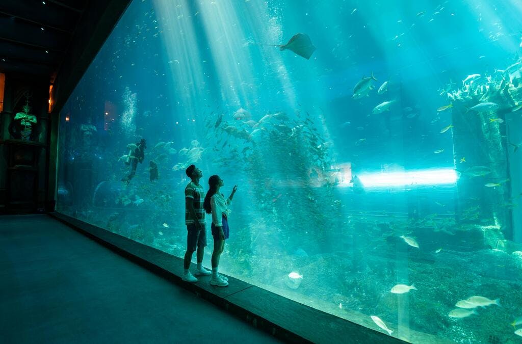 VinWonders Phu Quoc Ticket with Safari 