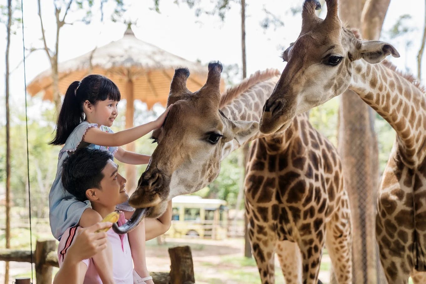 Vinpearl Safari Phu Quoc Entry Tickets