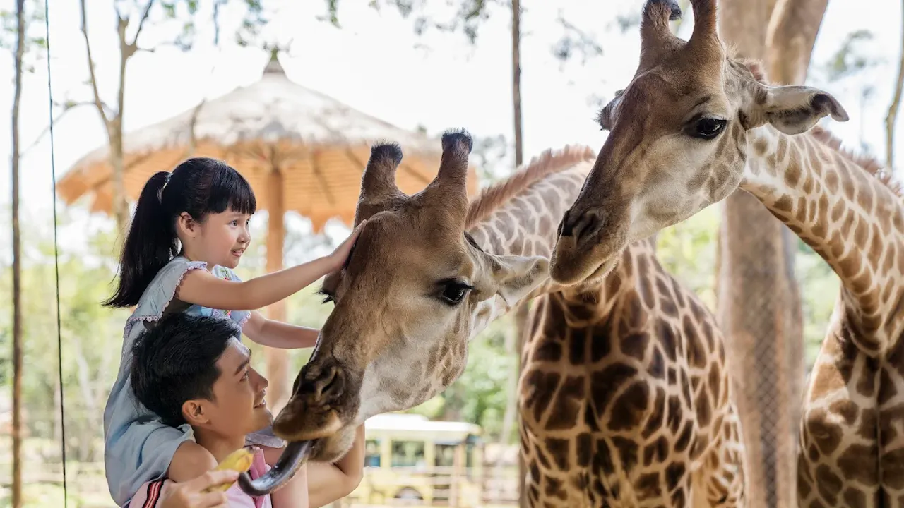 Vinpearl Safari Phu Quoc Entry Tickets Thrillark