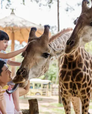 Vinpearl Safari Phu Quoc Entry Tickets