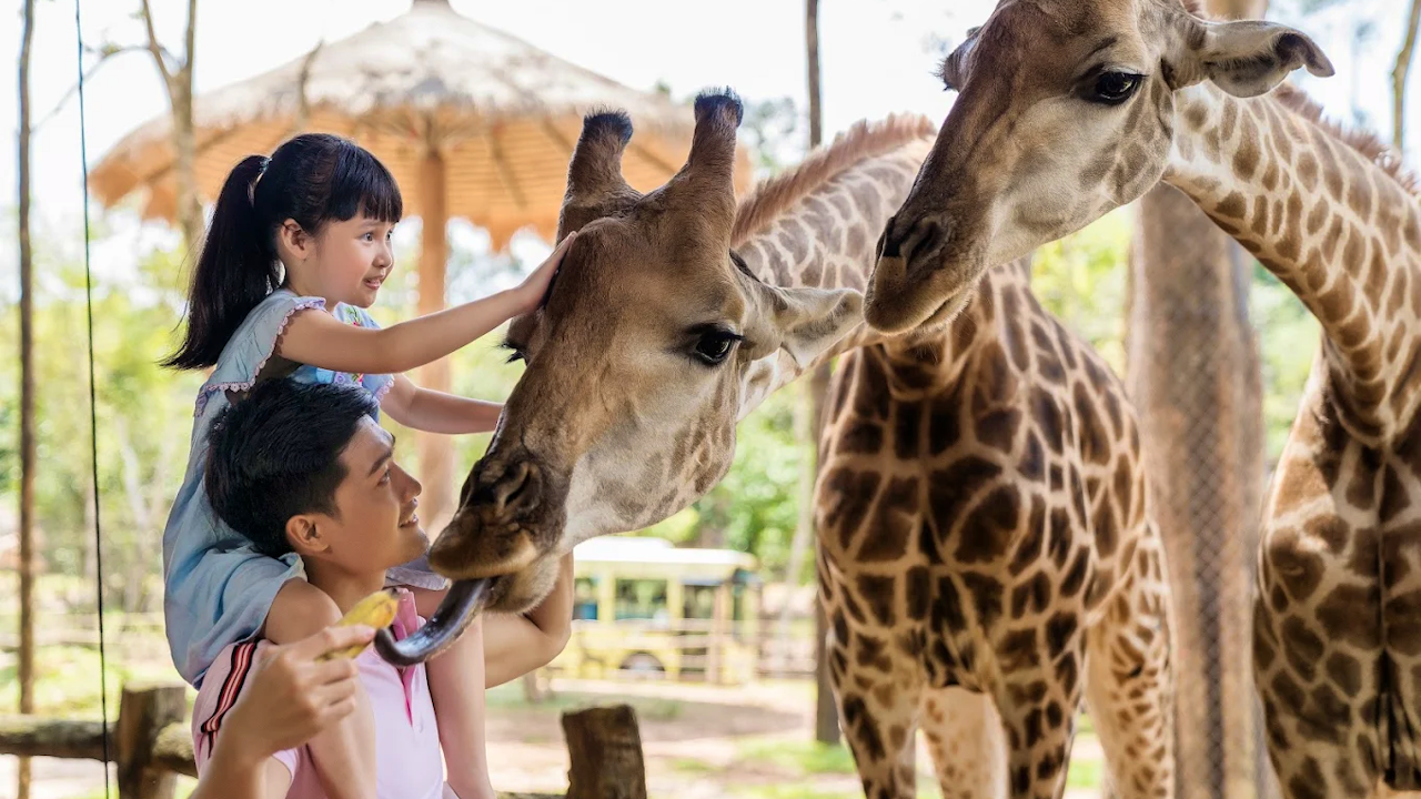 Vinpearl Safari Phu Quoc Entry Tickets Thrillark