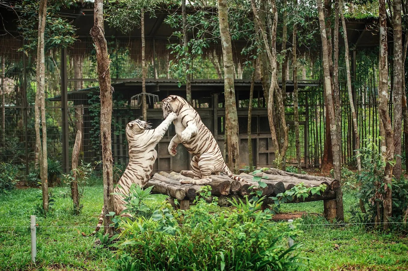 Vinpearl Safari Phu Quoc Entry Tickets Location