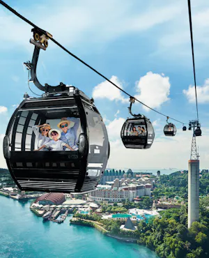 Singapore Cable Car Flexi Pass with 3 Attractions