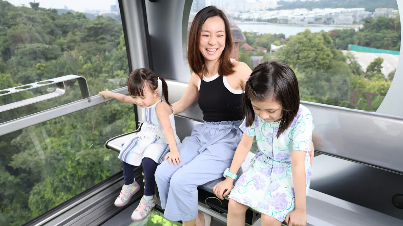 Cable Car Sky Pass (1 Round Trip) with Arbora Meal Options Location