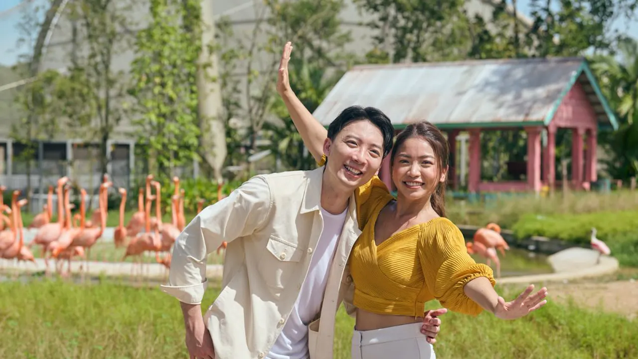 Go City Singapore All Inclusive Pass Price