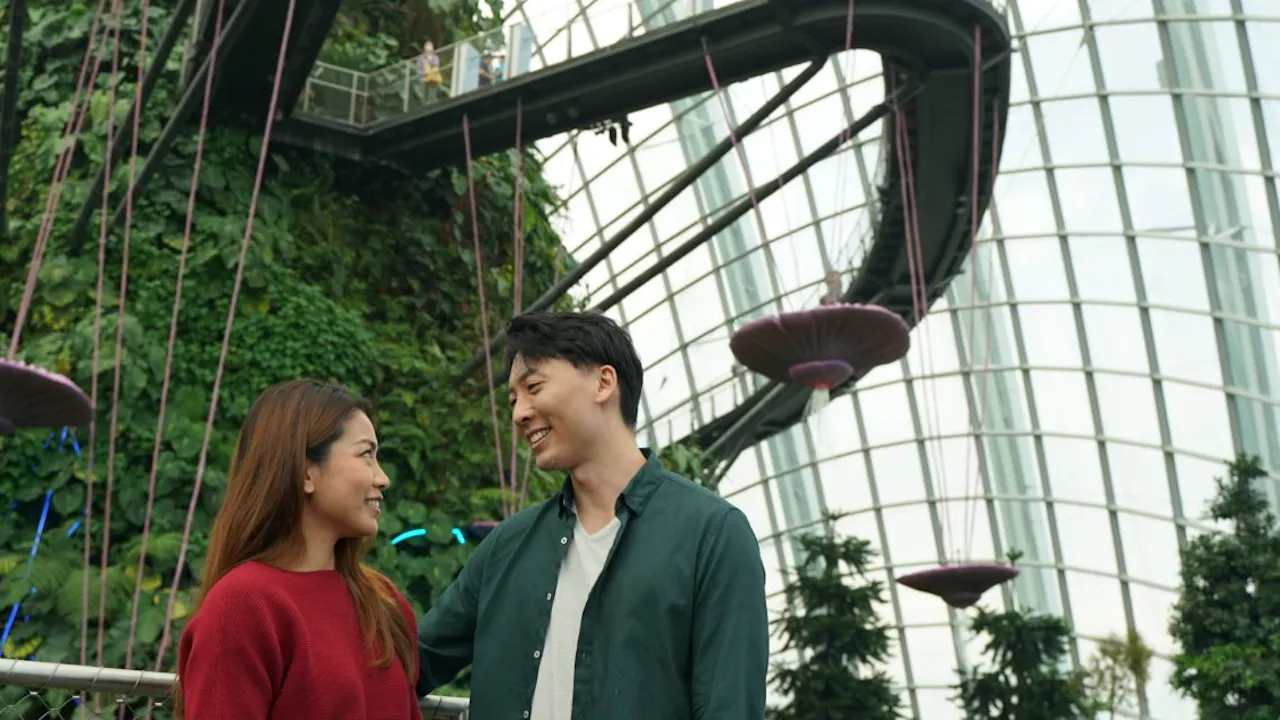 Go City Singapore Explorer Pass Category