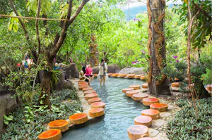 Than Tai Hot Spring Park Ticket