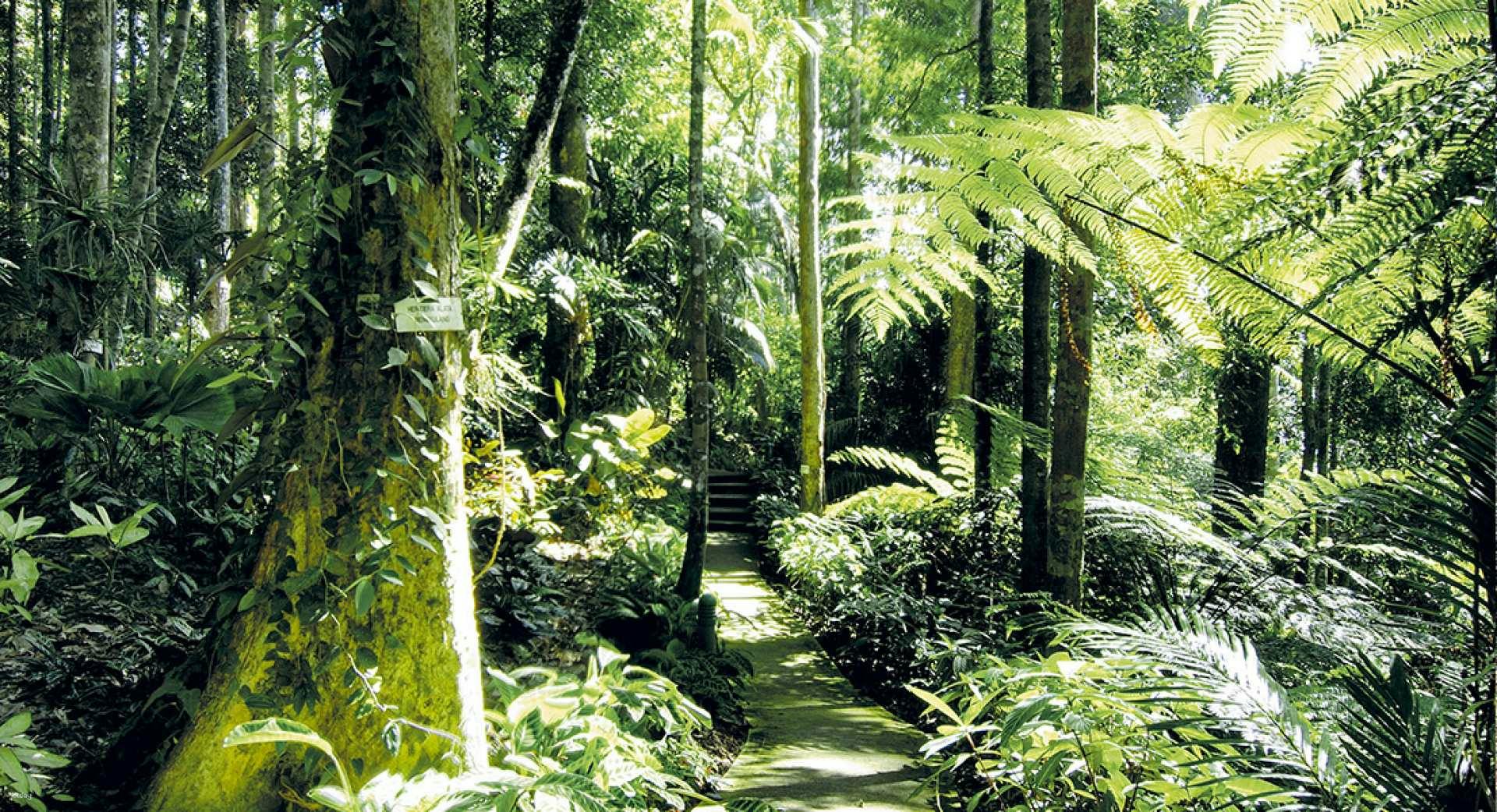 Colmar Tropicale and Batu Caves Day Trip Thrillark