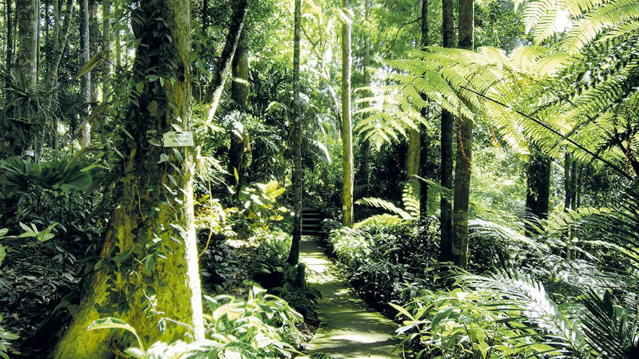 Colmar Tropicale and Batu Caves Day Trip Thrillark