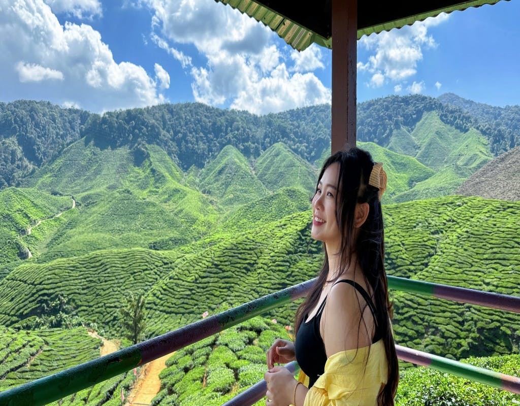 From Kuala Lumpur: Cameron Highlands Day Tour with Lunch Review