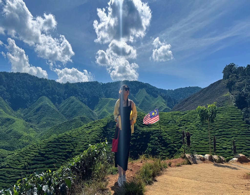 From Kuala Lumpur: Cameron Highlands Day Tour with Lunch 