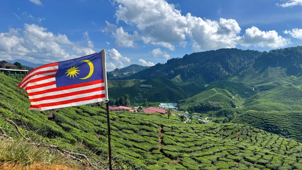 From Kuala Lumpur: Cameron Highlands Day Tour with Lunch