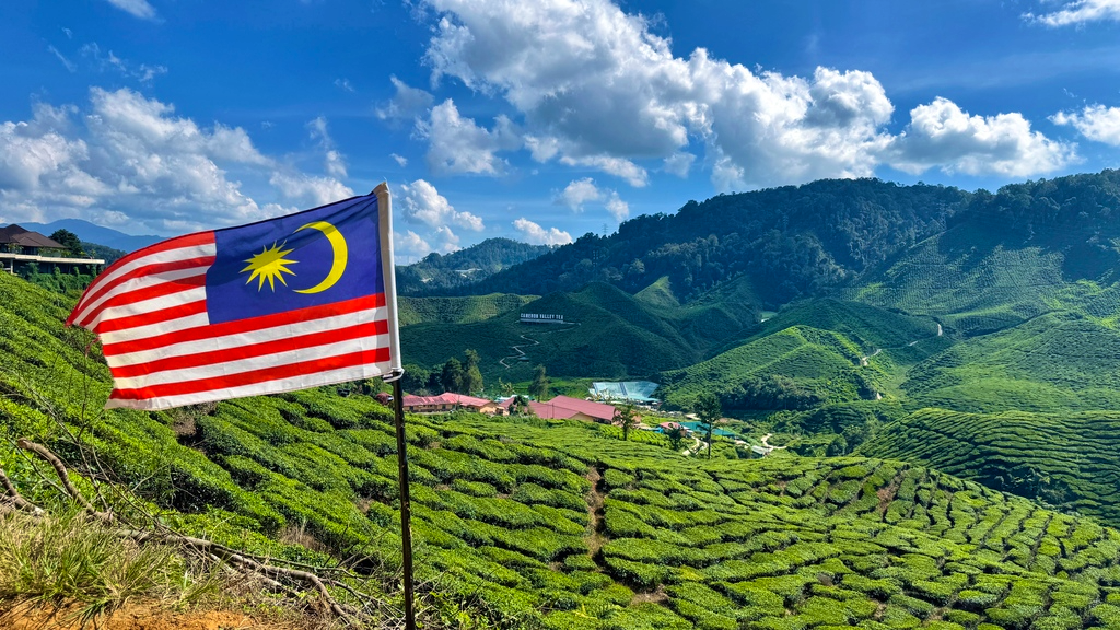 From Kuala Lumpur: Cameron Highlands Day Tour with Lunch