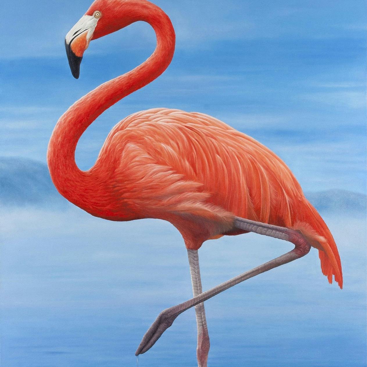 KL Bird Park Admission Ticket With One-Way Transfer