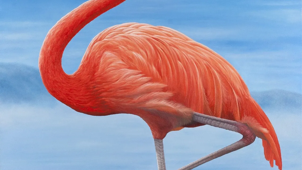 KL Bird Park Admission Ticket With One-Way Transfer