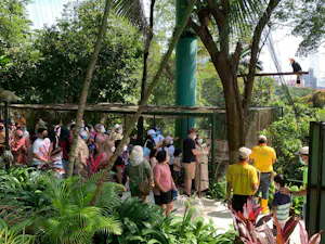 KL Bird Park Admission Ticket With One-Way Transfer