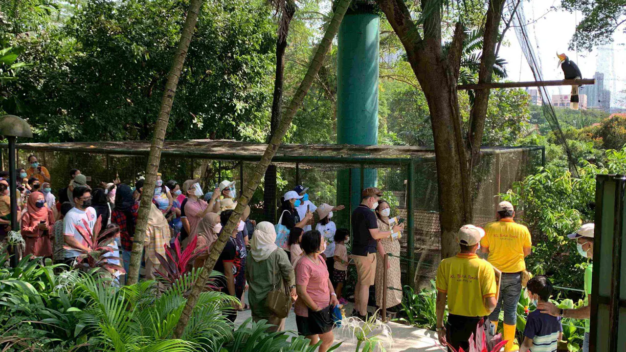 KL Bird Park Admission Ticket With One-Way Transfer Discount