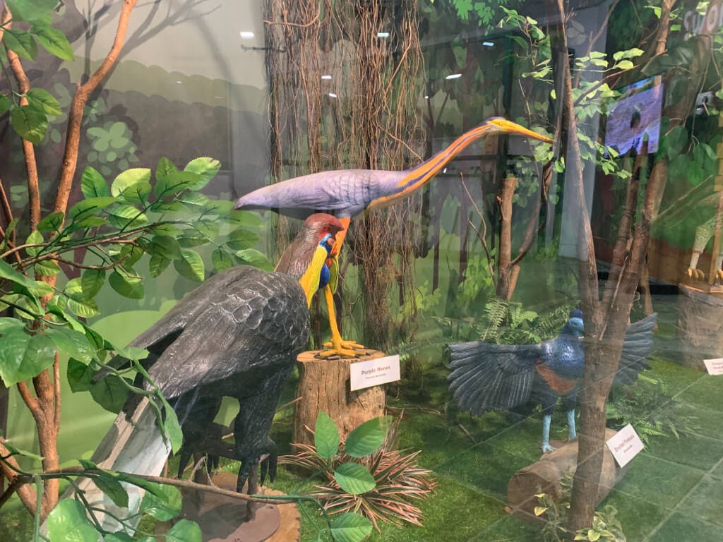 KL Bird Park Admission Ticket With One-Way Transfer Location