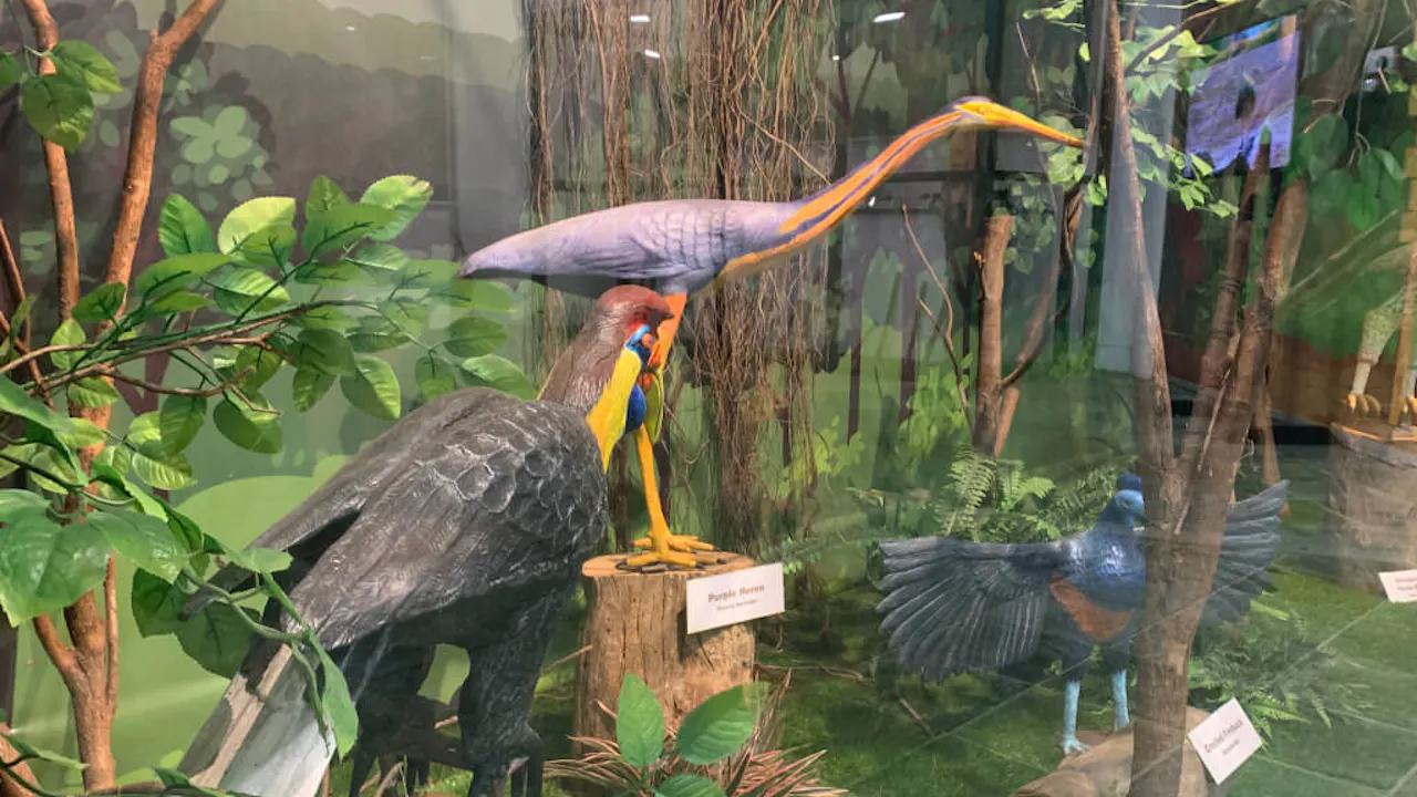 KL Bird Park Admission Ticket With One-Way Transfer Location