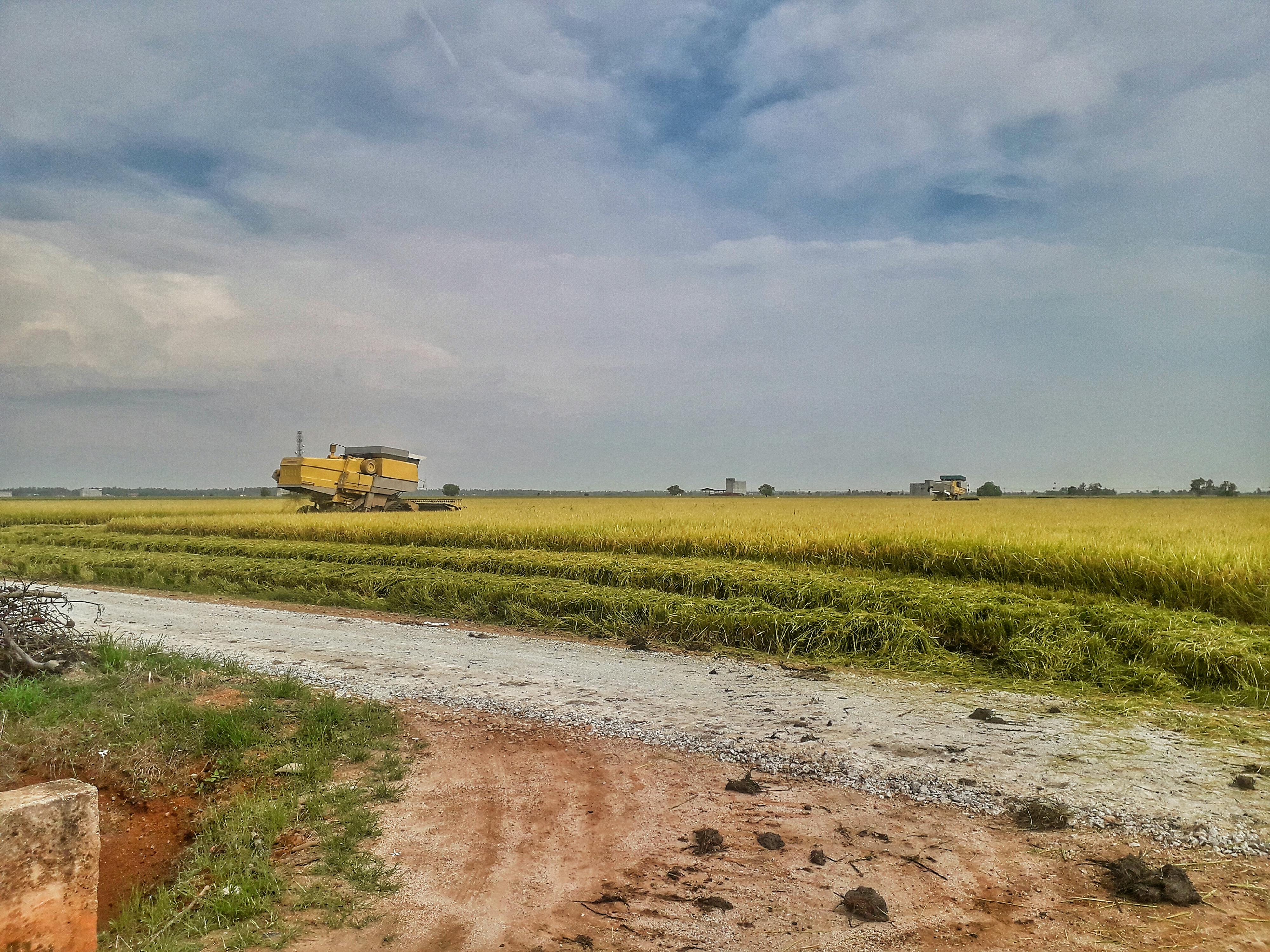 Sekinchan Paddy Field & Fishing Village Tour Ticket