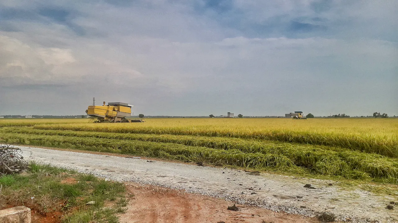 Sekinchan Paddy Field & Fishing Village Tour Ticket