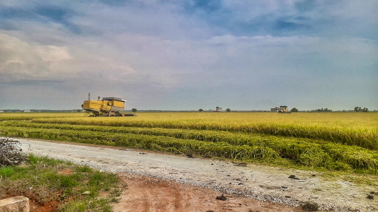 Sekinchan Paddy Field & Fishing Village Tour Ticket