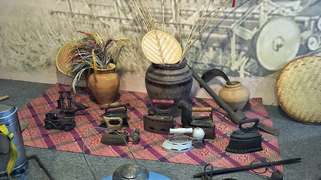 Sekinchan Paddy Field & Fishing Village Tour Discount