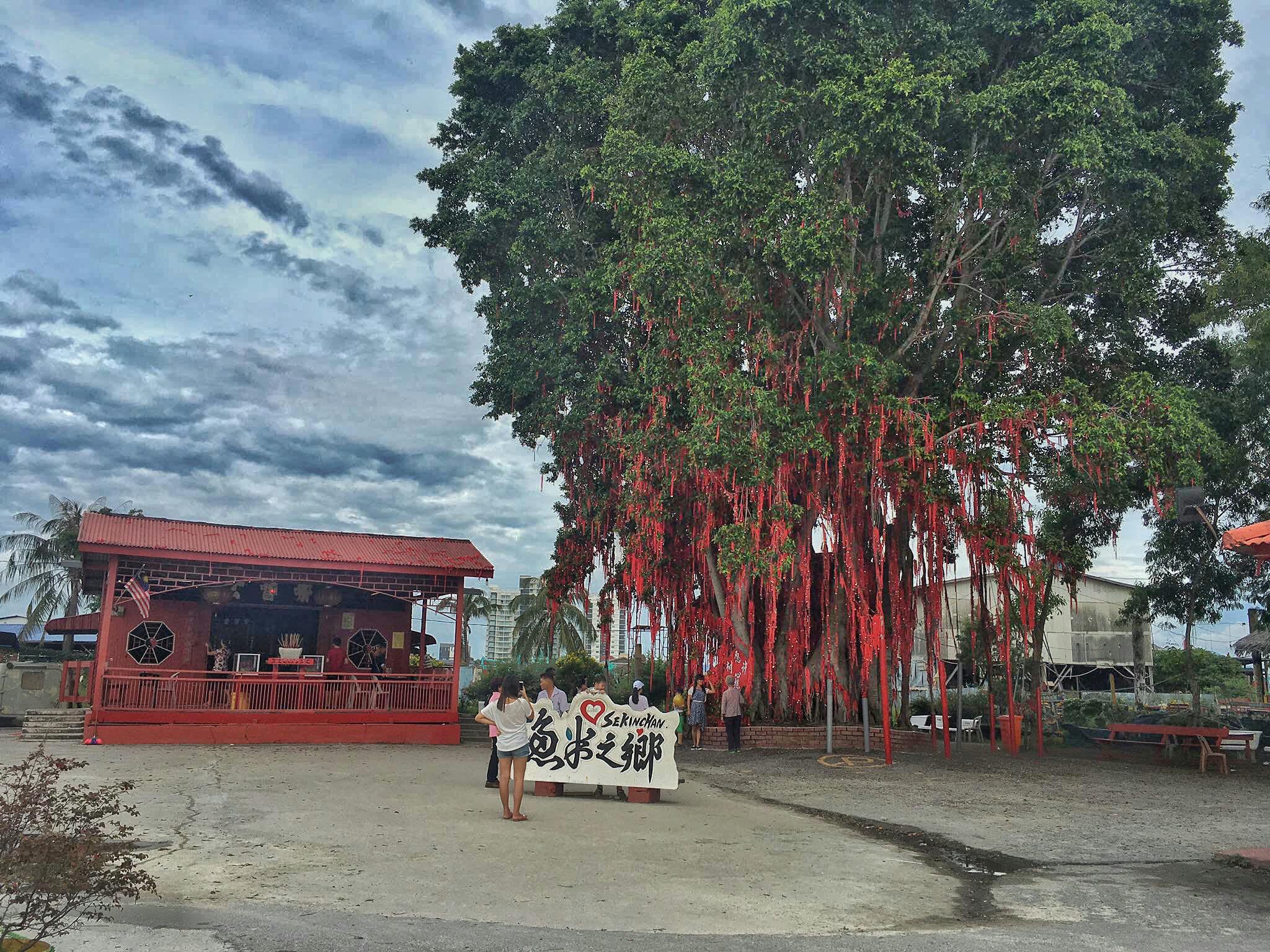 Sekinchan Paddy Field & Fishing Village Tour Category
