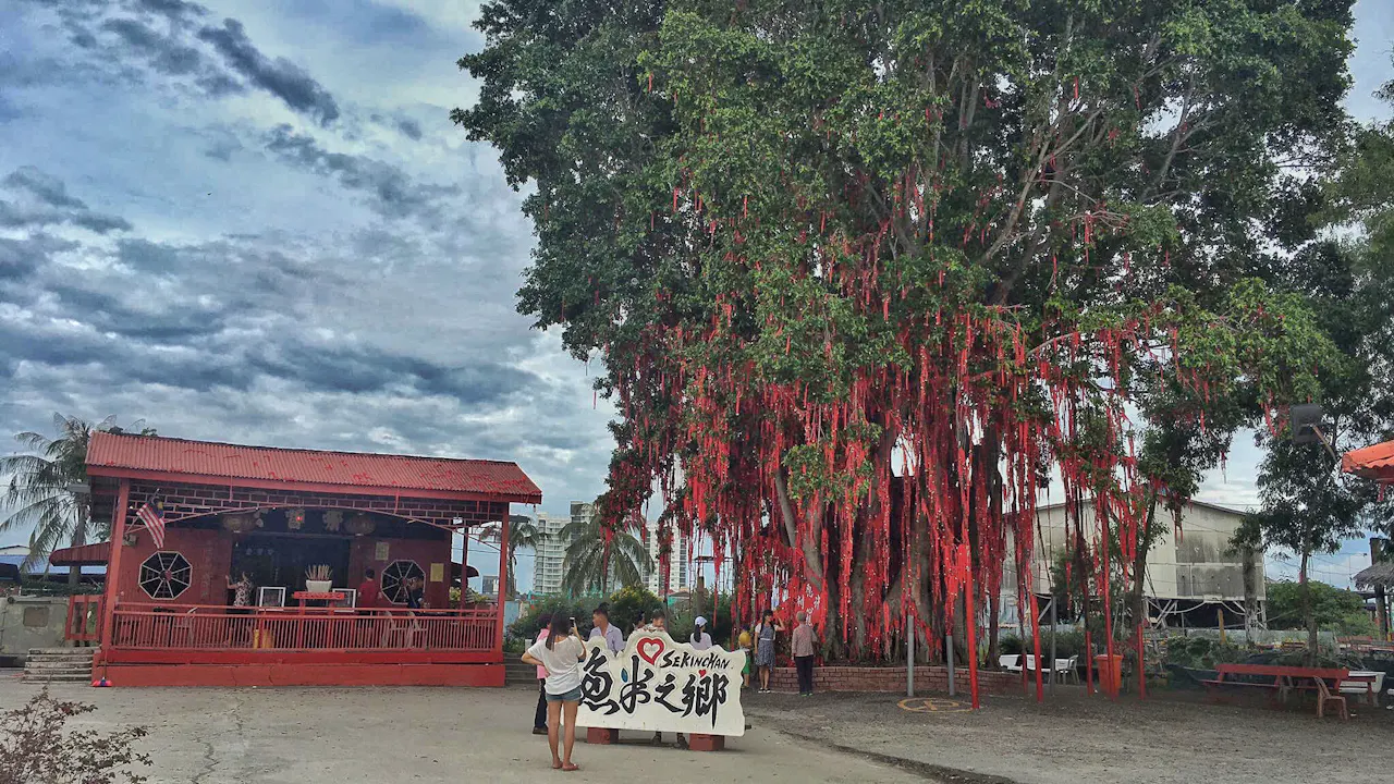 Sekinchan Paddy Field & Fishing Village Tour Category