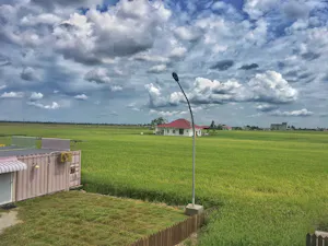 Sekinchan Paddy Field & Fishing Village Tour