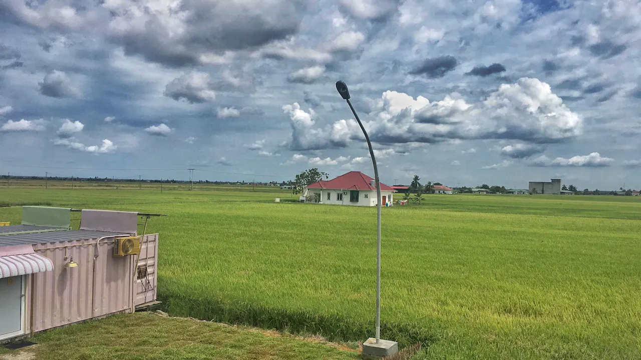 Sekinchan Paddy Field & Fishing Village Tour