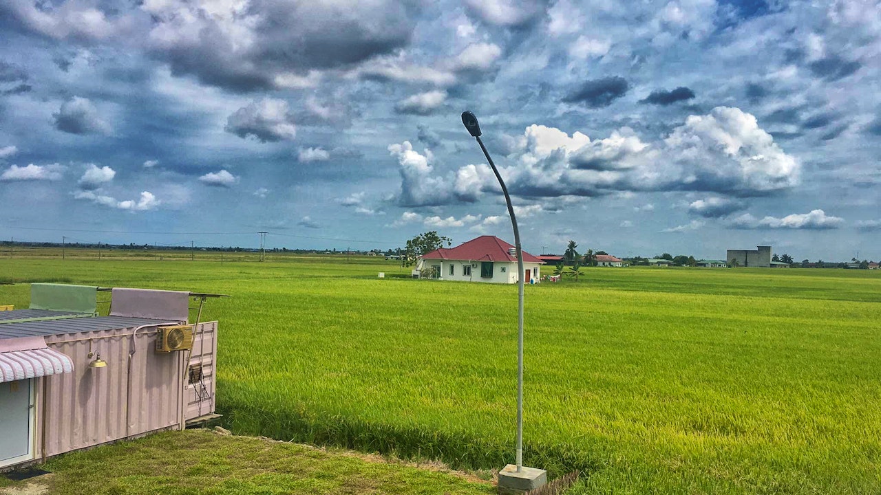 Sekinchan Paddy Field & Fishing Village Tour