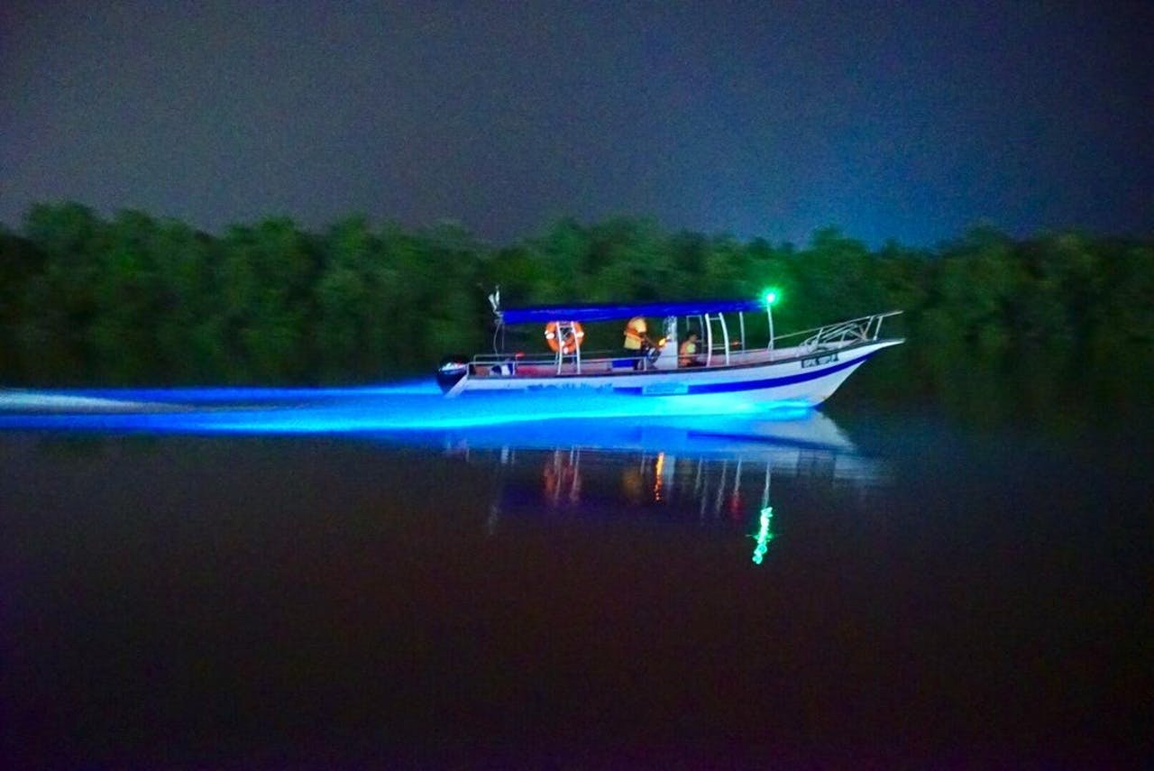 Kuala Selangor Fireflies and Blue Tears Tour with Dinner Thrillark