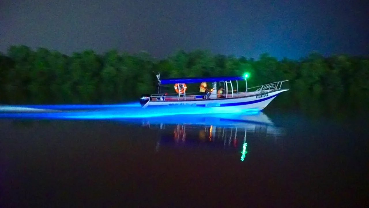 Kuala Selangor Fireflies and Blue Tears Tour with Dinner Thrillark